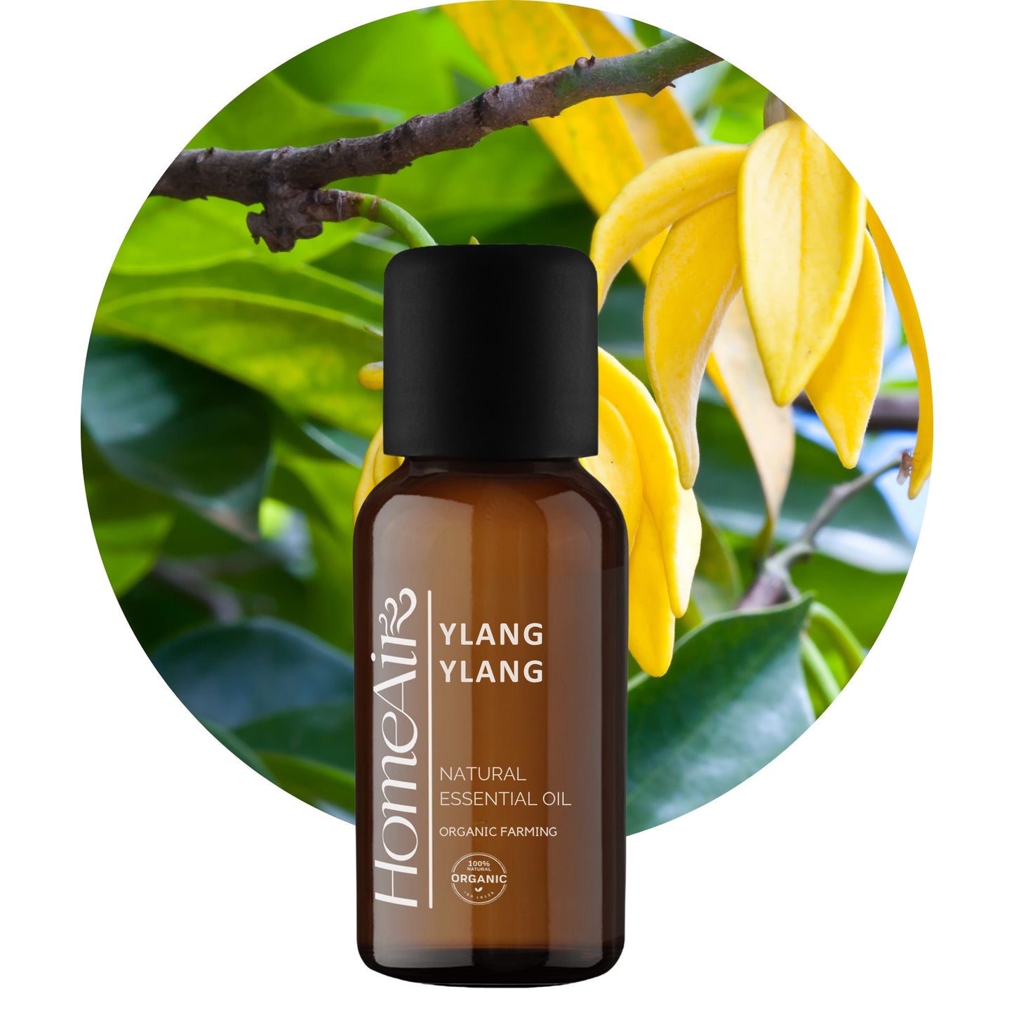 YLANG YLANG | természetes illóolaj | BIO