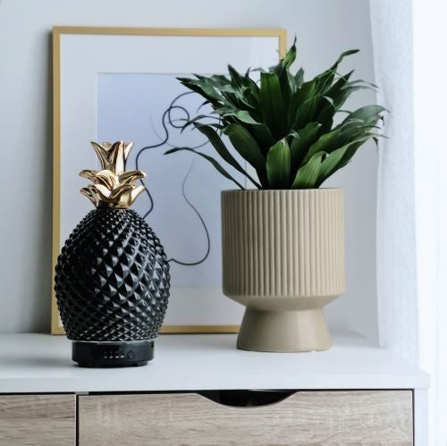 Illatosító diffúzor - Levegőminőség javítása