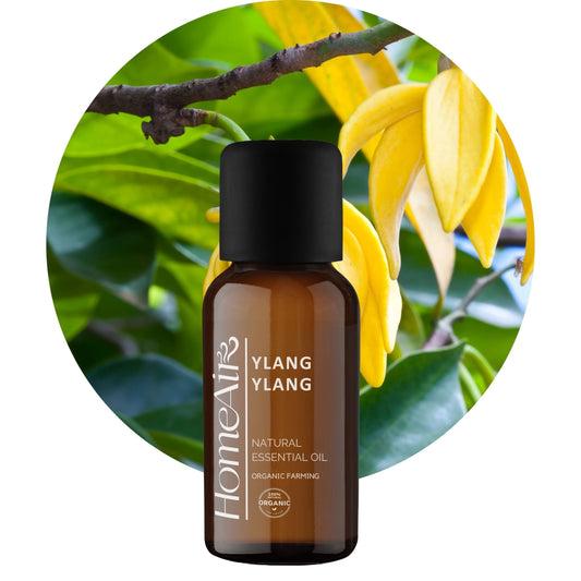 Az ylang-ylang illóolaj tulajdonságai
