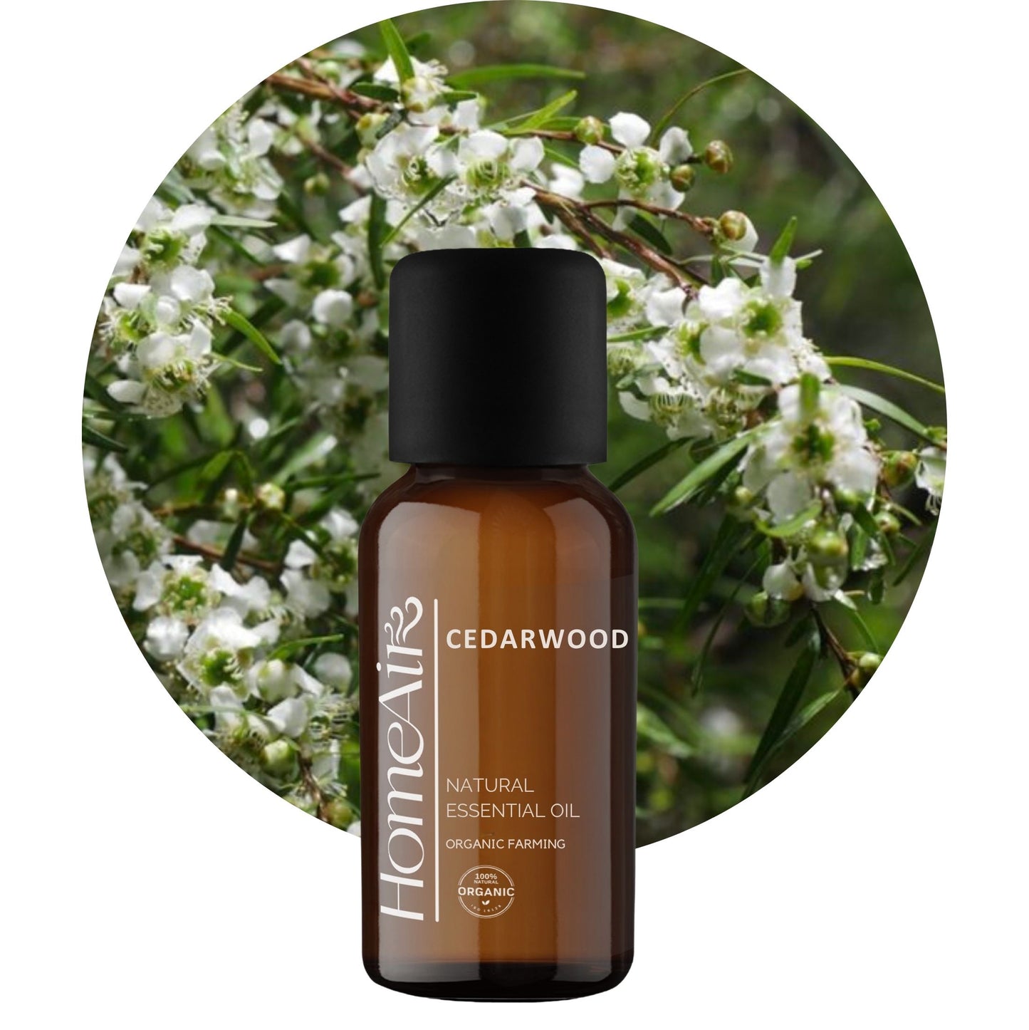 CÉDRUSFÁT | természetes illóolaj | BIO