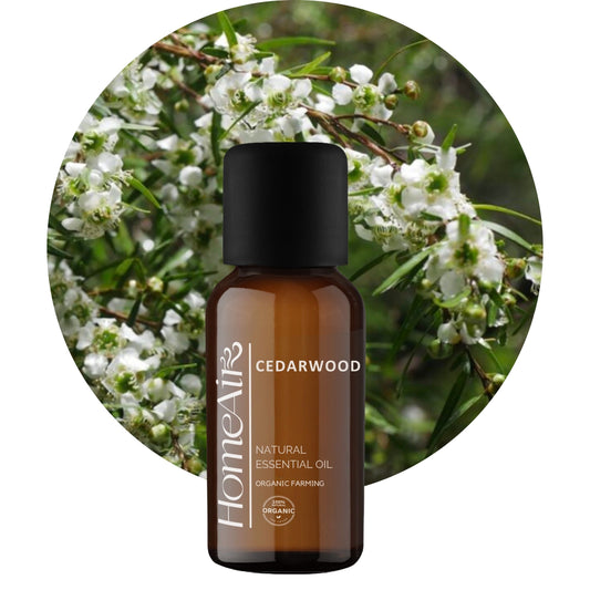 CÉDRUSFÁT | természetes illóolaj | BIO