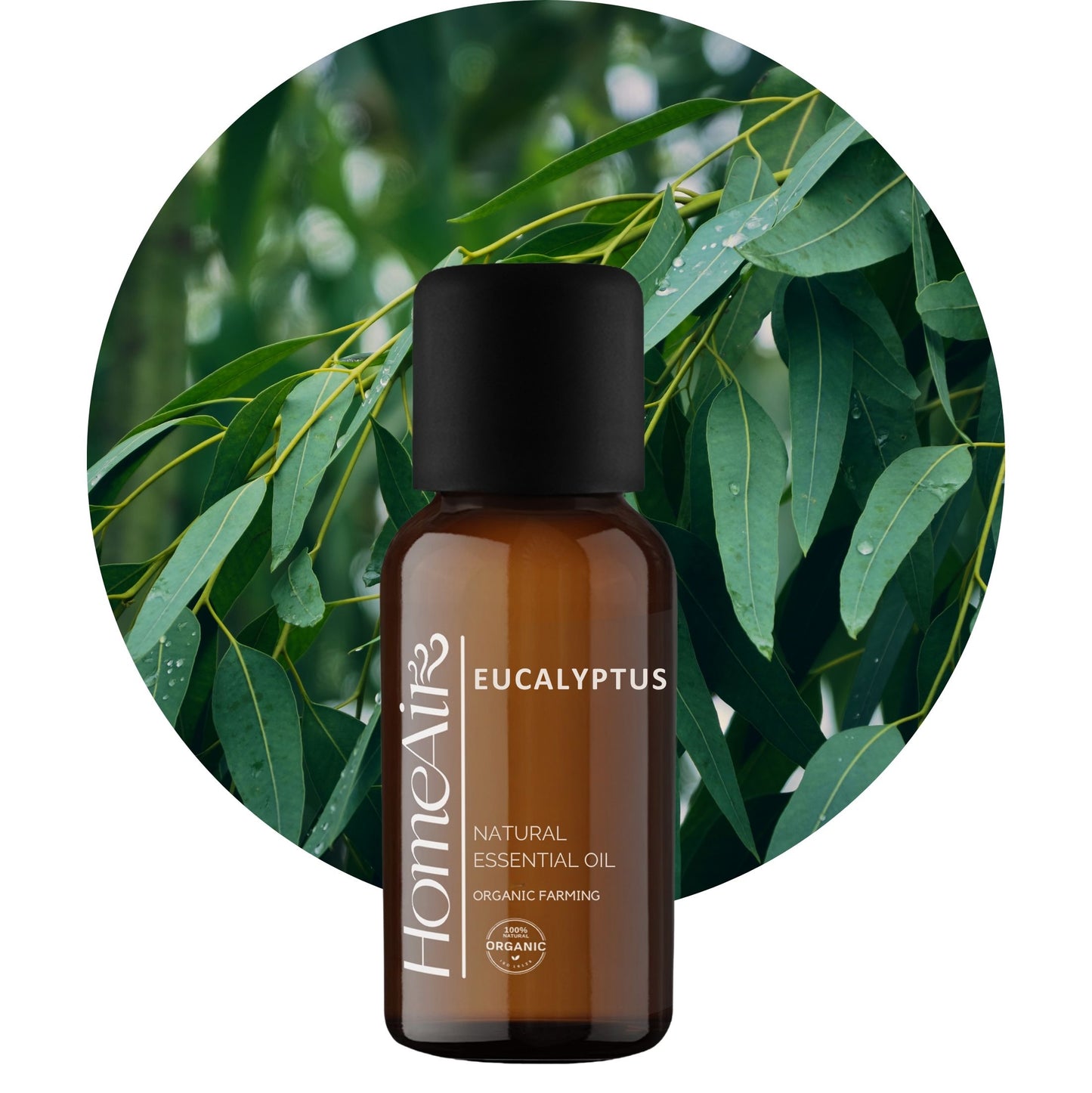 EUKALIPTUSZ | természetes illóolaj | BIO