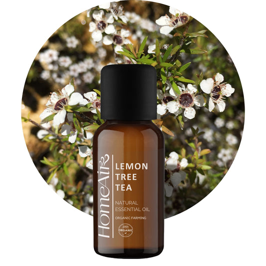 CITROMOS TEAFAOLAJAT | természetes illóolaj | BIO